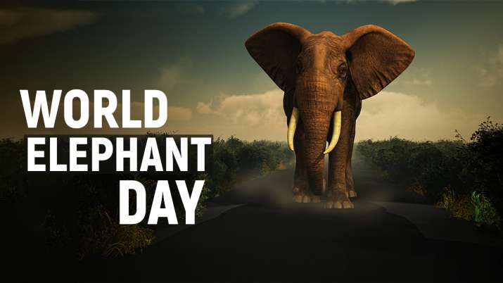 world elephant day 1628740849